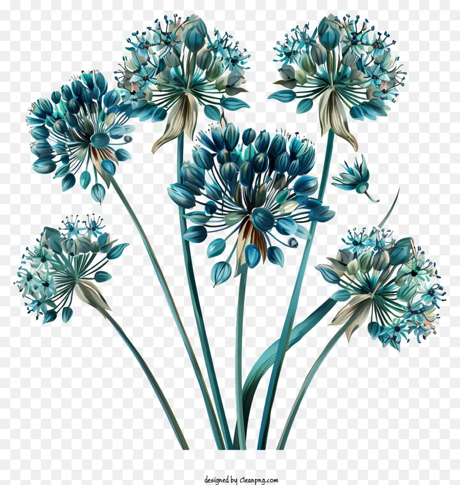 Fleurs Allium Giganteum，Fleurs Bleues PNG