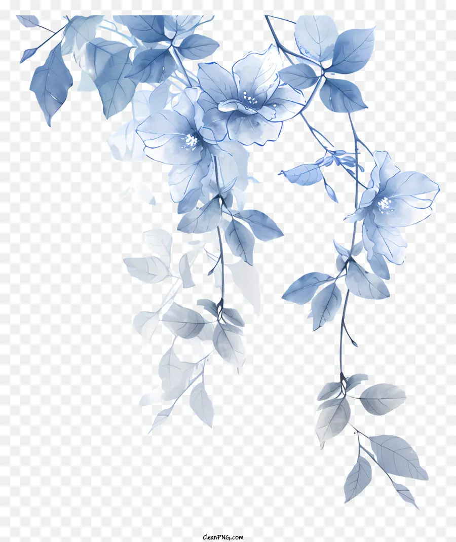 Bleu Fleur De Vigne，Fleurs Blanches PNG