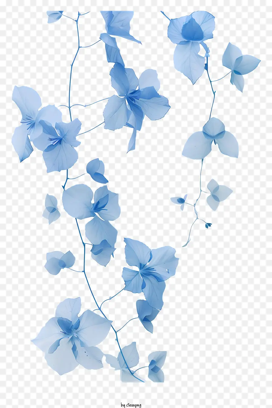 Bleu Fleur De Vigne，Guirlande Florale PNG