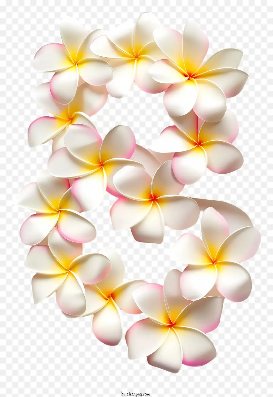 Numéro Huit Floral，Arrangement De Fleurs PNG