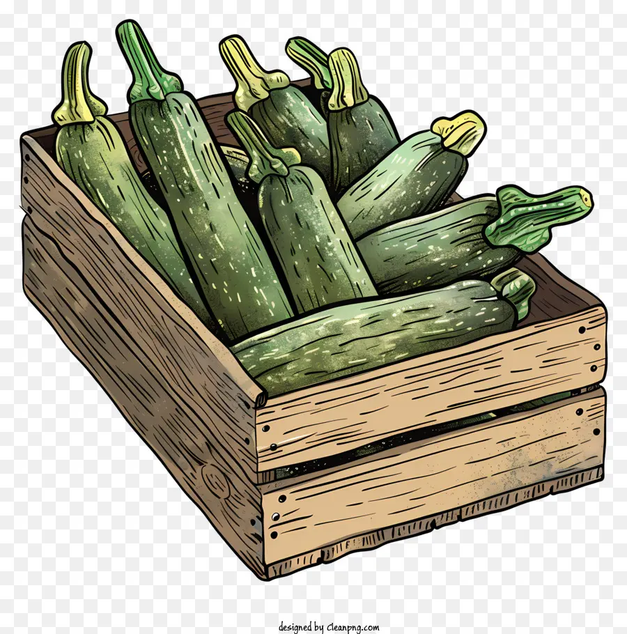 Courgettes，Vert PNG