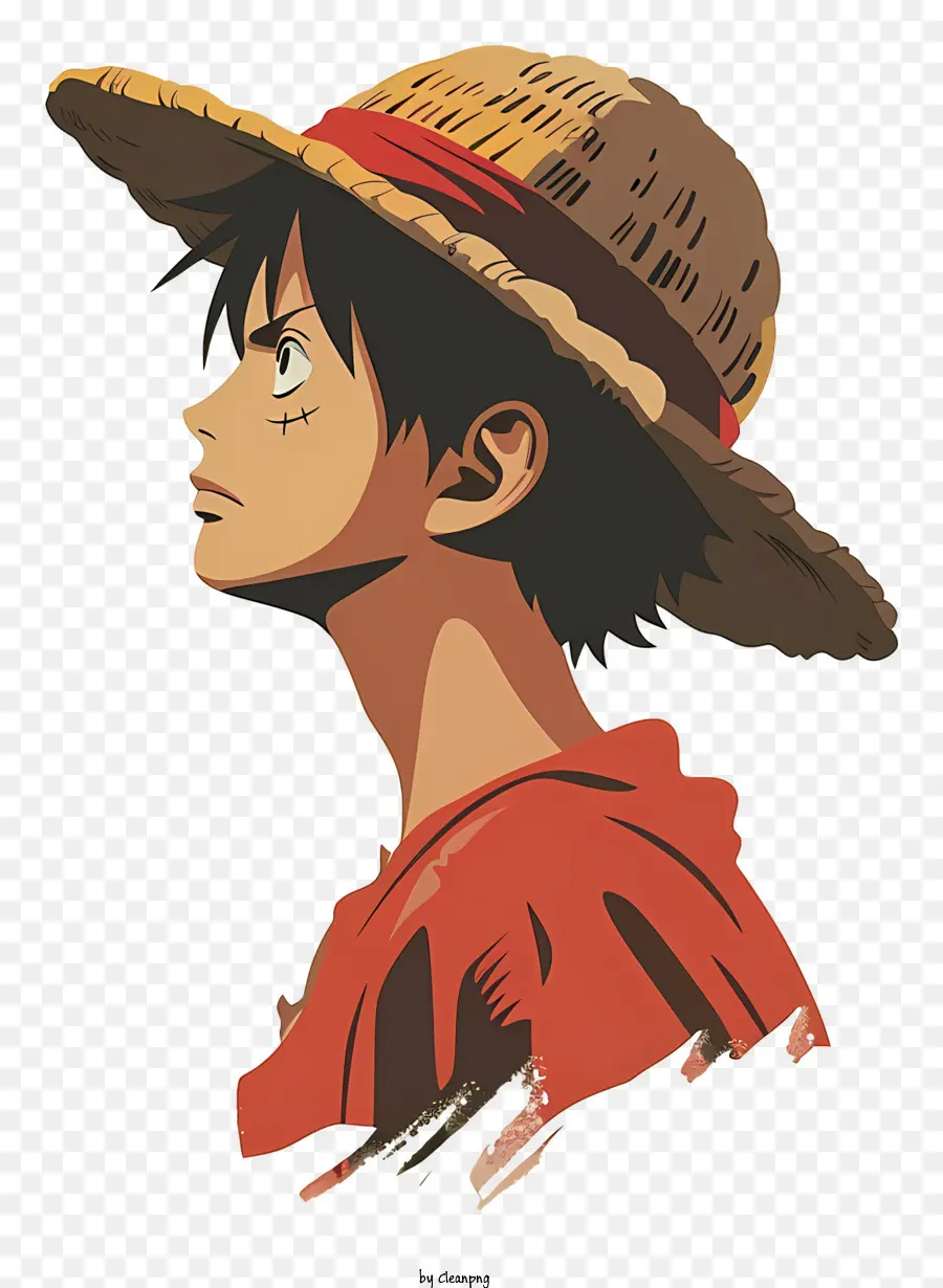 Une Seule Pièce Luffy，Personne PNG