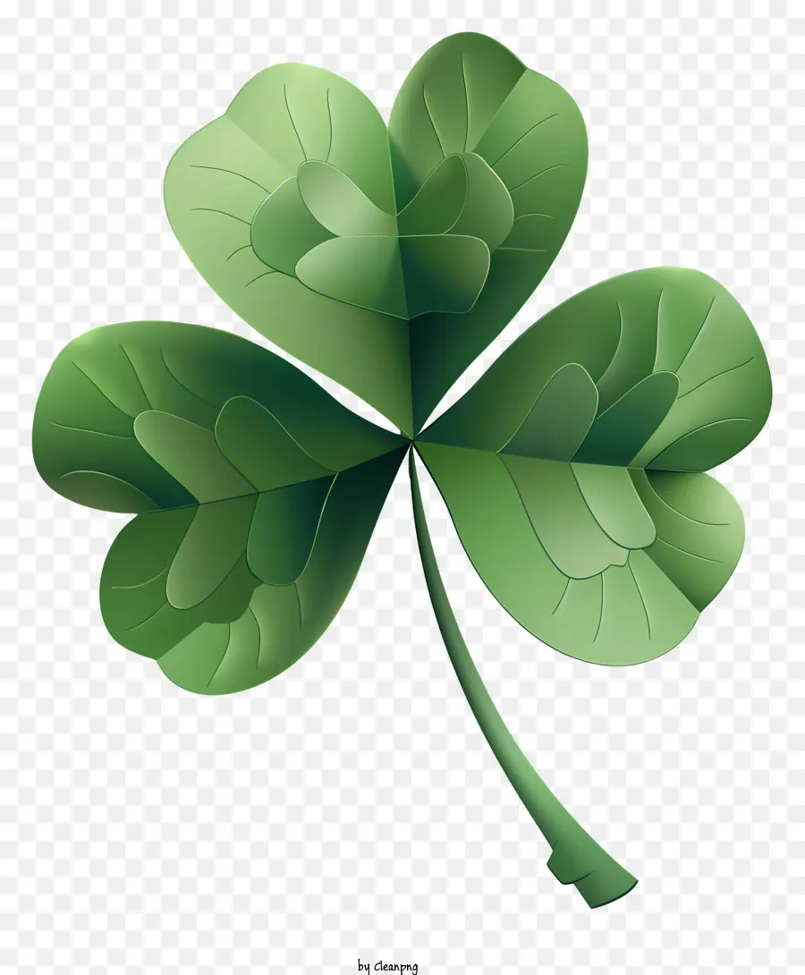 Shamrock De La Saint Patricks，Shamrock PNG