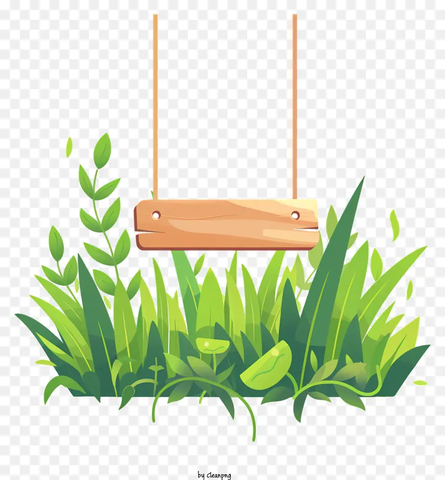 Bois Signe，Swing PNG
