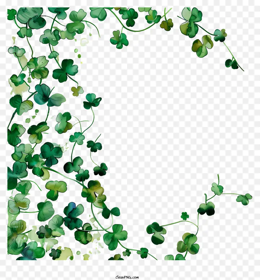Heureux St Patricks Day，Plante Verte PNG