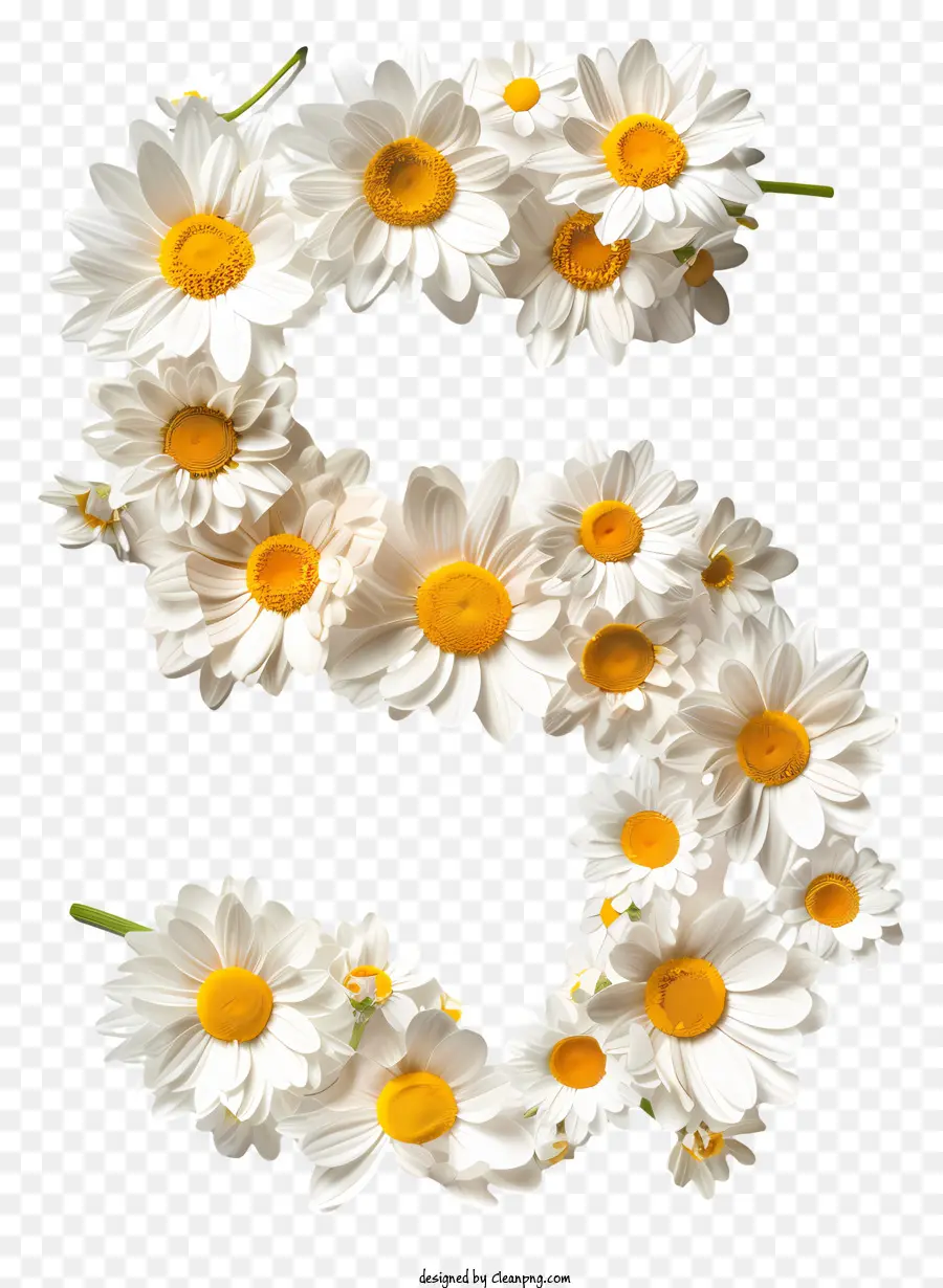 Numéro Floral Cinq，Daisy PNG