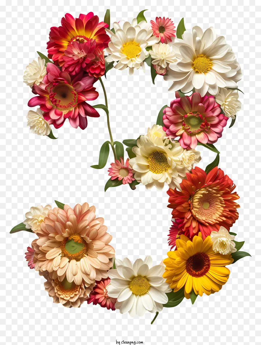 Numéro Trois Floral，Daisy Fleurs PNG