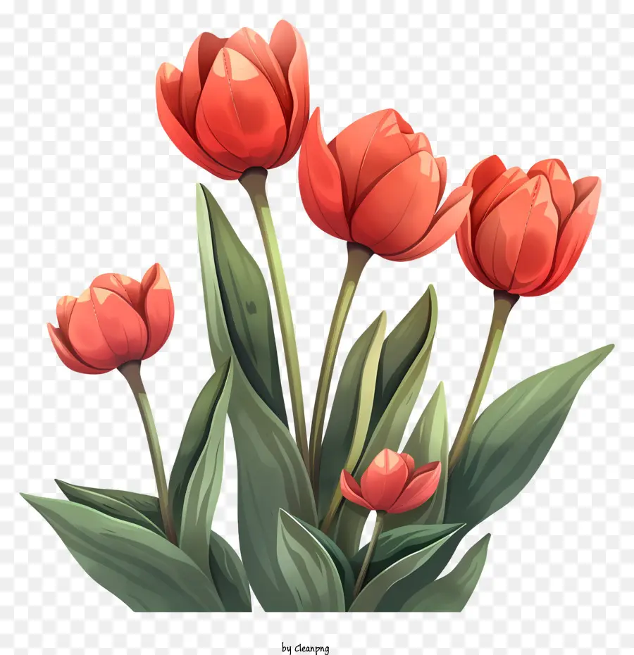 Bonjour Le Printemps，Tulipe Rouge PNG