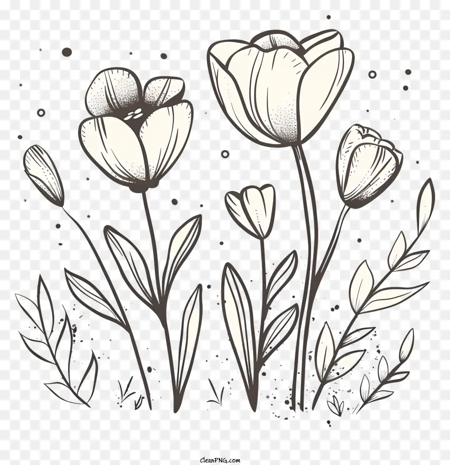 Fleurs De Printemps，Fleurs Noires Et Blanches PNG