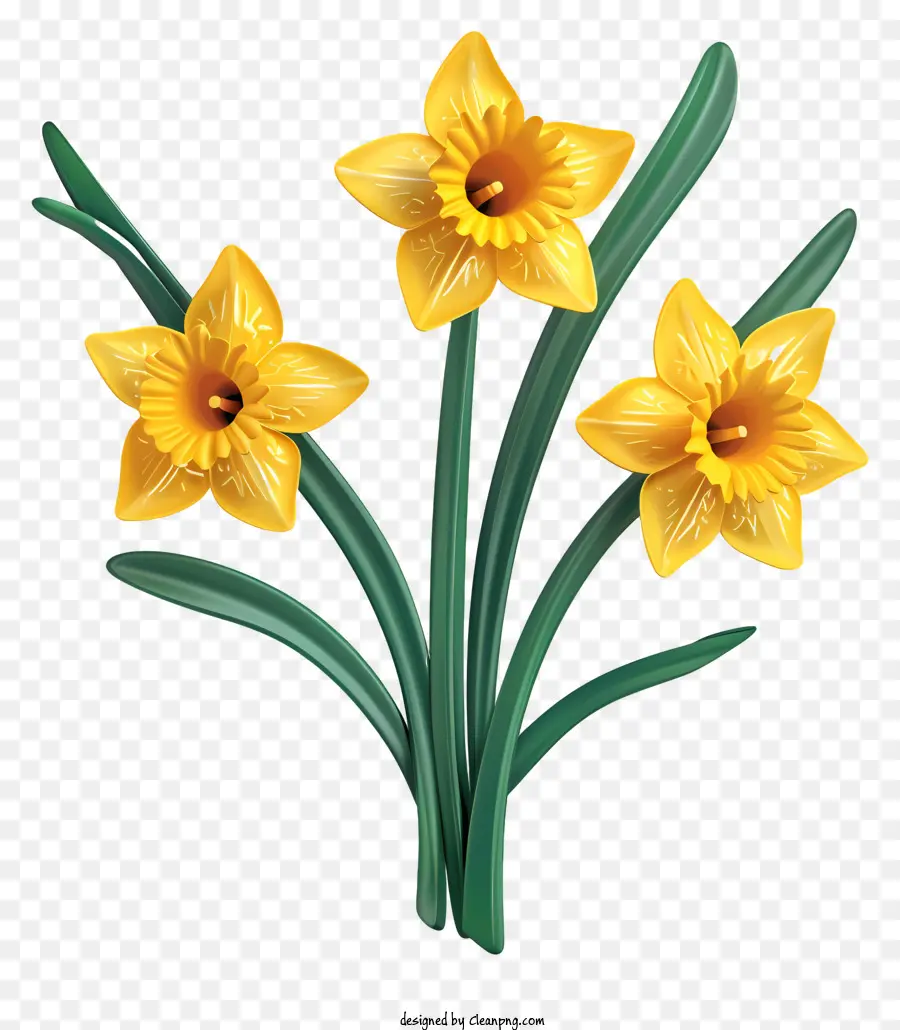 Fête De La Saint David，Jonquilles Jaunes PNG