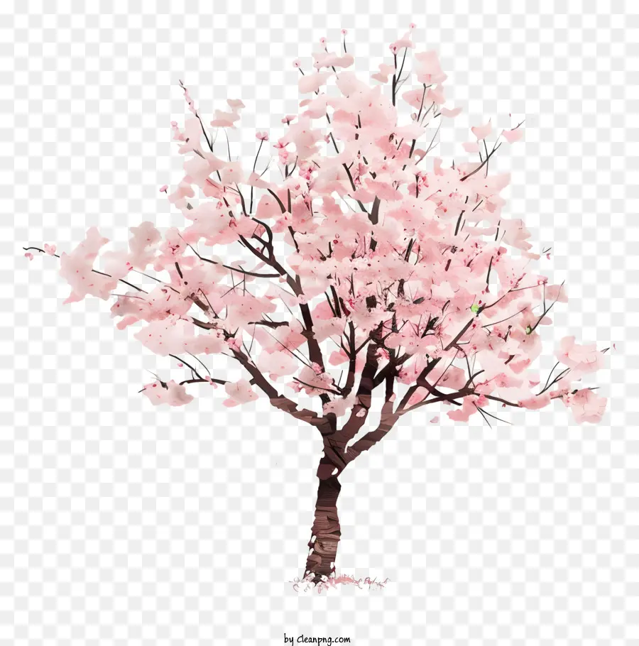 Cerisier En Fleur，Arbre à Fleurs Roses PNG
