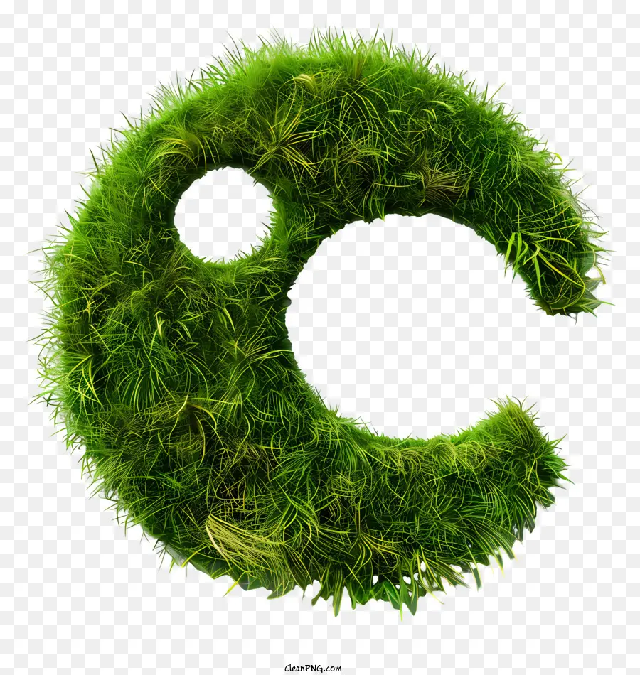 Le Vert De L'herbe，Moss PNG