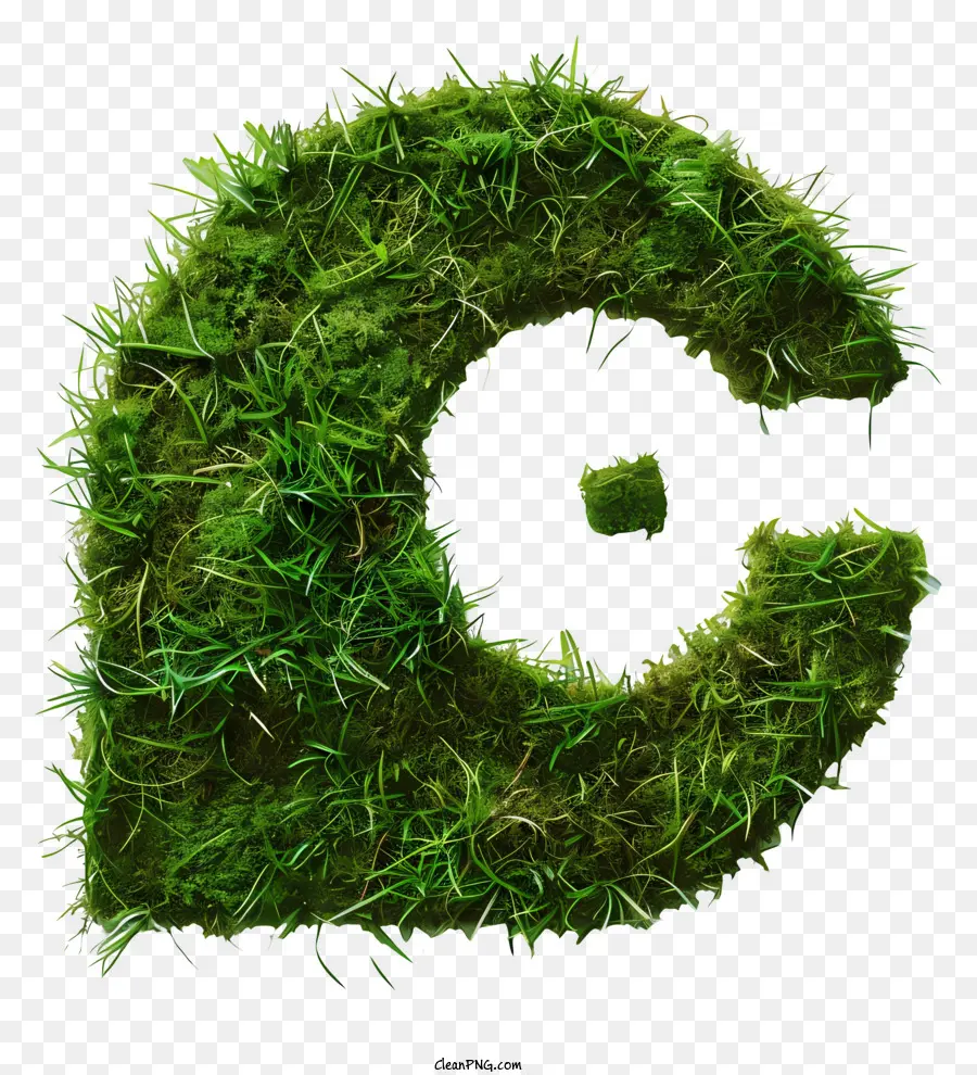 Le Vert De L'herbe，Moss PNG