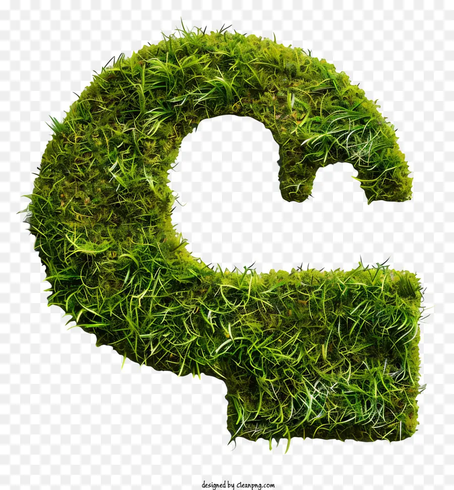 Herbe Verte，Lettre D'herbe G PNG