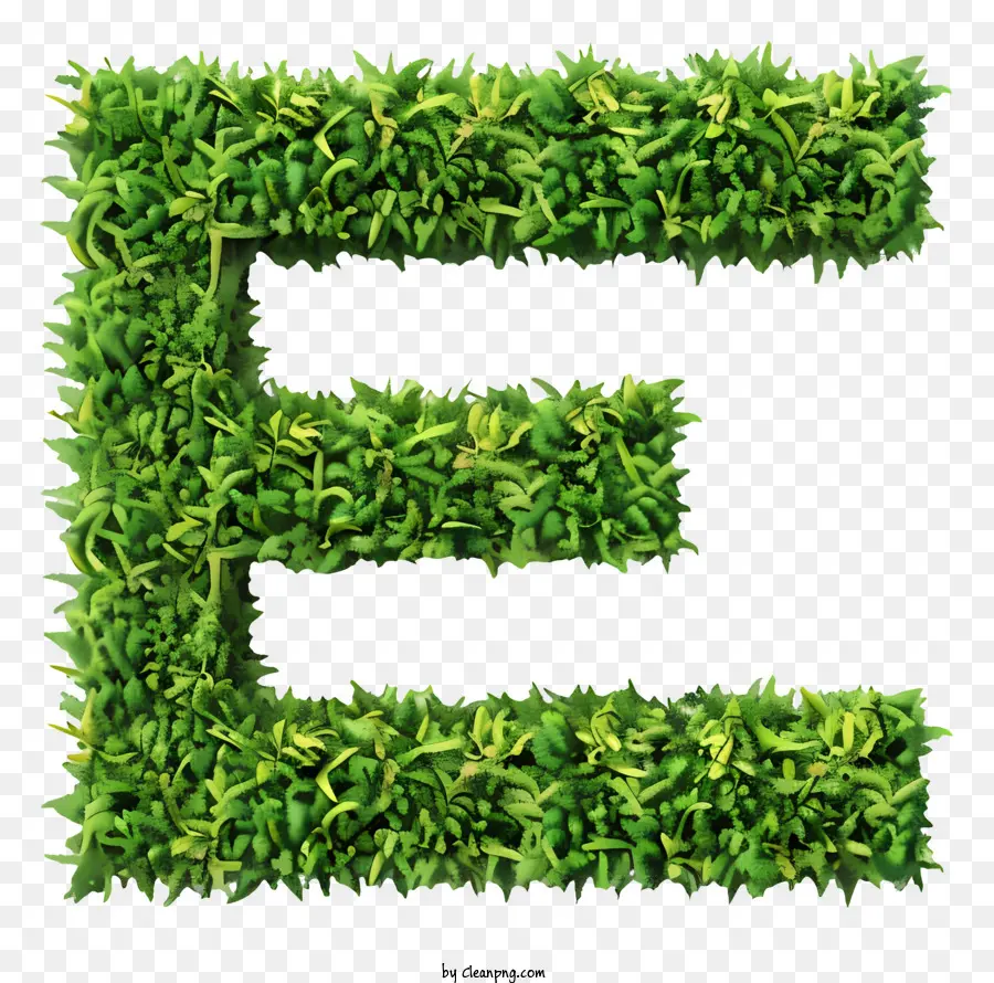 Le Vert De L'herbe，Respectueux De L'environnement PNG