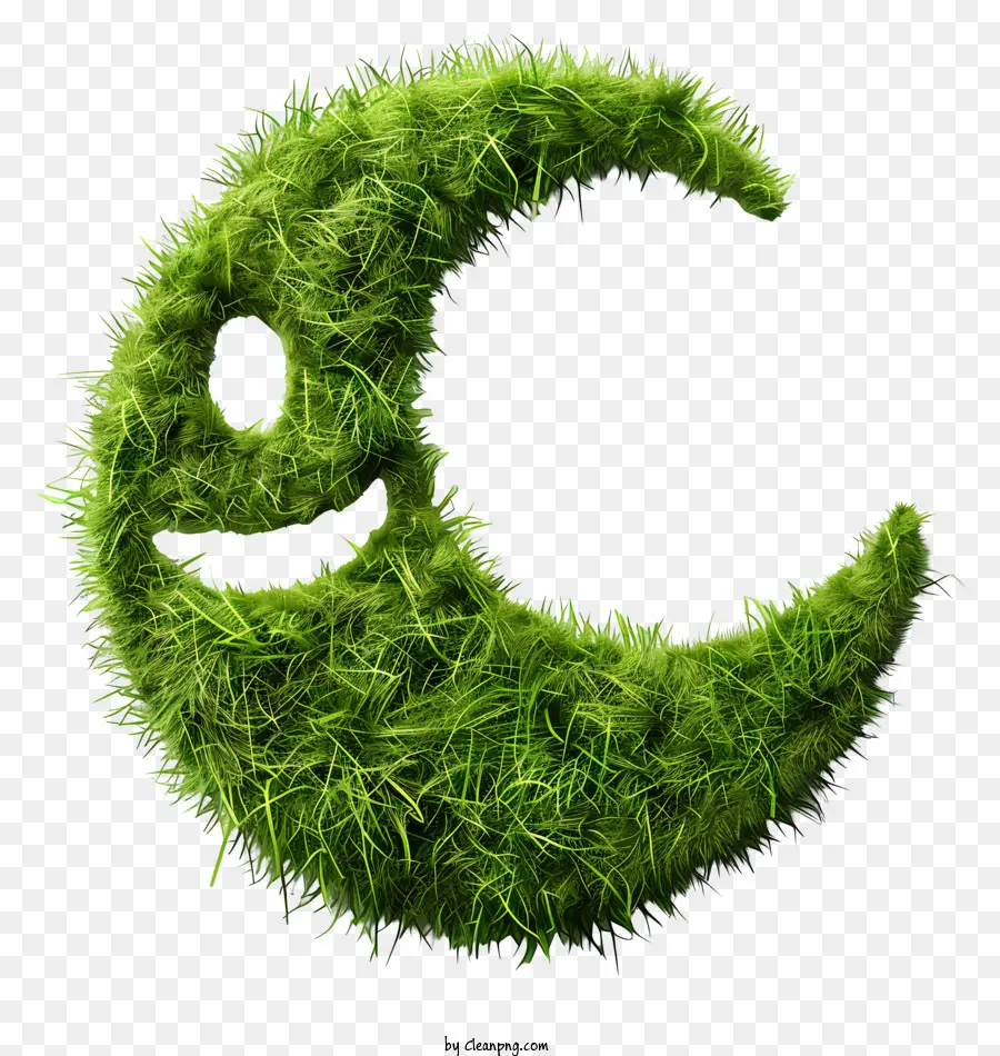 Le Vert De L'herbe，Lune PNG