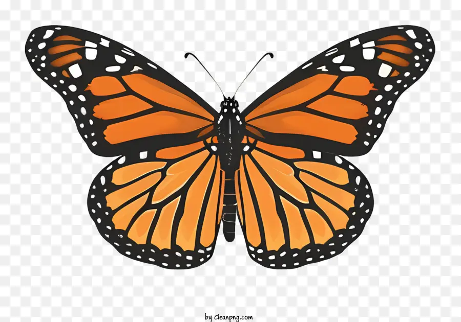 Papillon Monarque，Ailes Orange Et Noires PNG