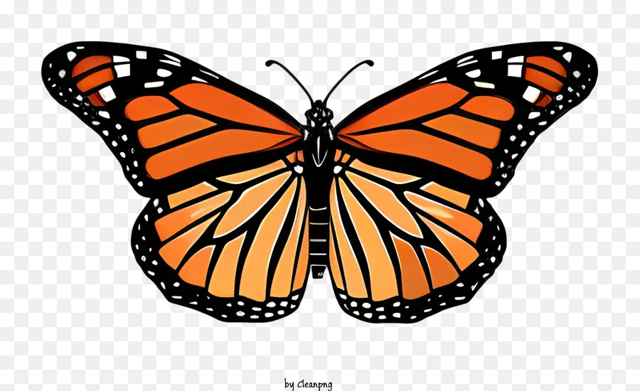 Papillon Monarque，Les Insectes PNG