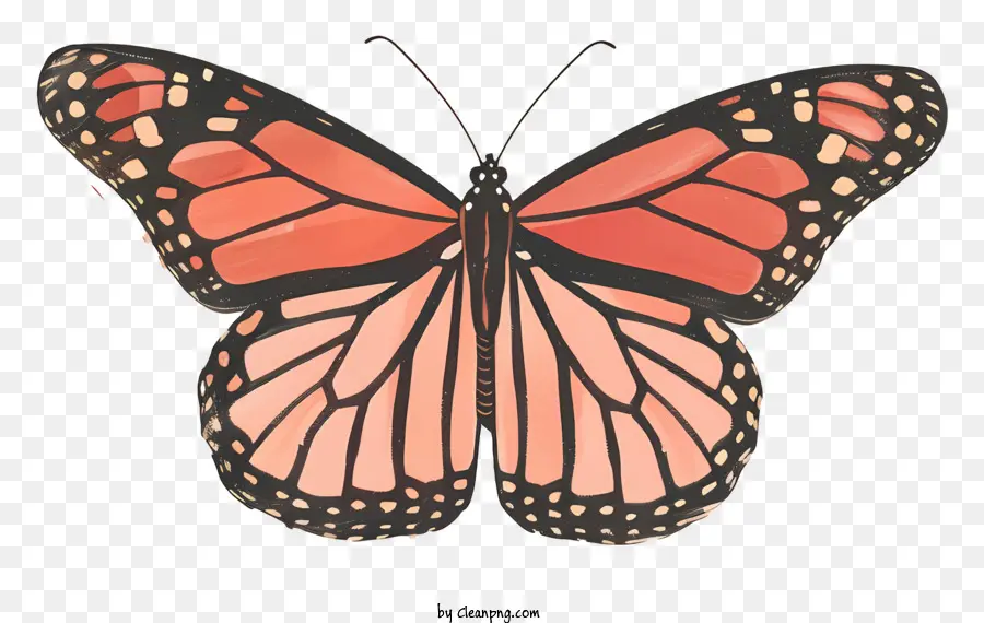 Papillon Monarque，Papillon Orange Et Noir PNG