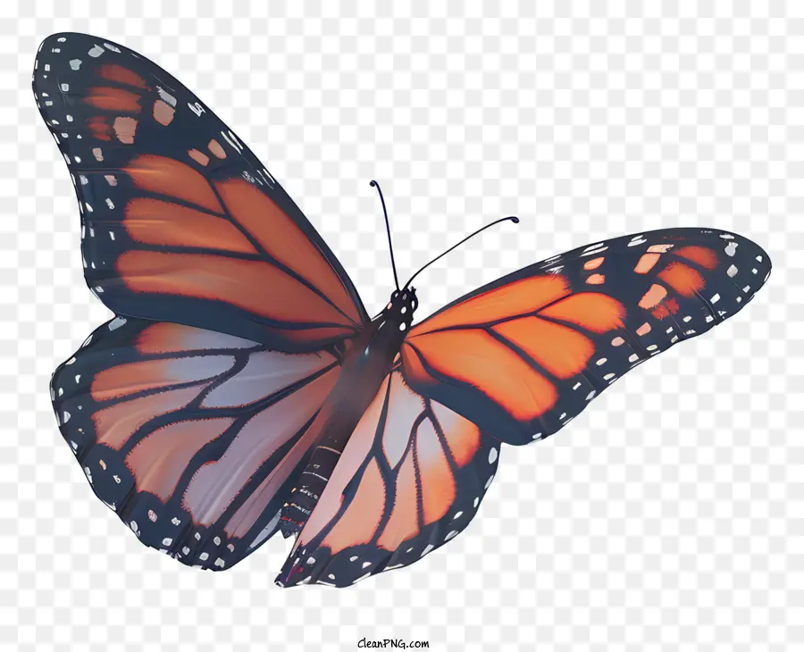 Papillon Monarque，Orange Vif PNG
