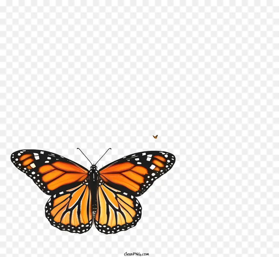 Papillon Monarque，Ailes Orange Et Noires PNG