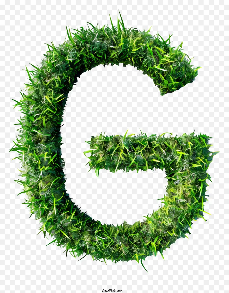 La Lettre G，Le Vert De L'herbe PNG