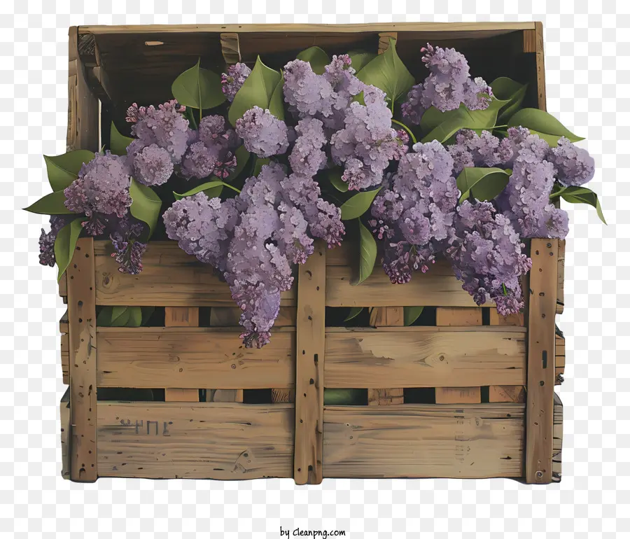 Fleurs Lilas，Caisse En Bois PNG