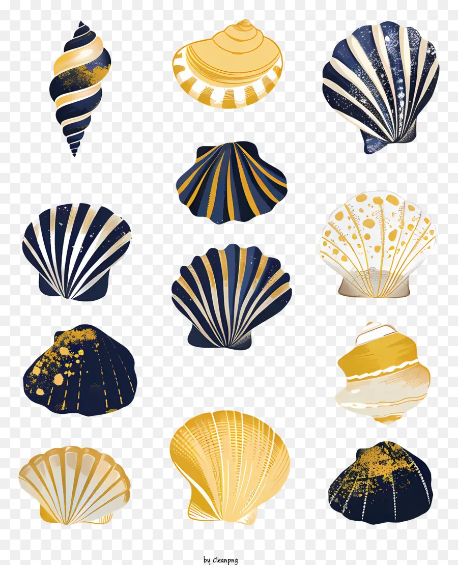 Coquillages，Coquilles Décoratives PNG