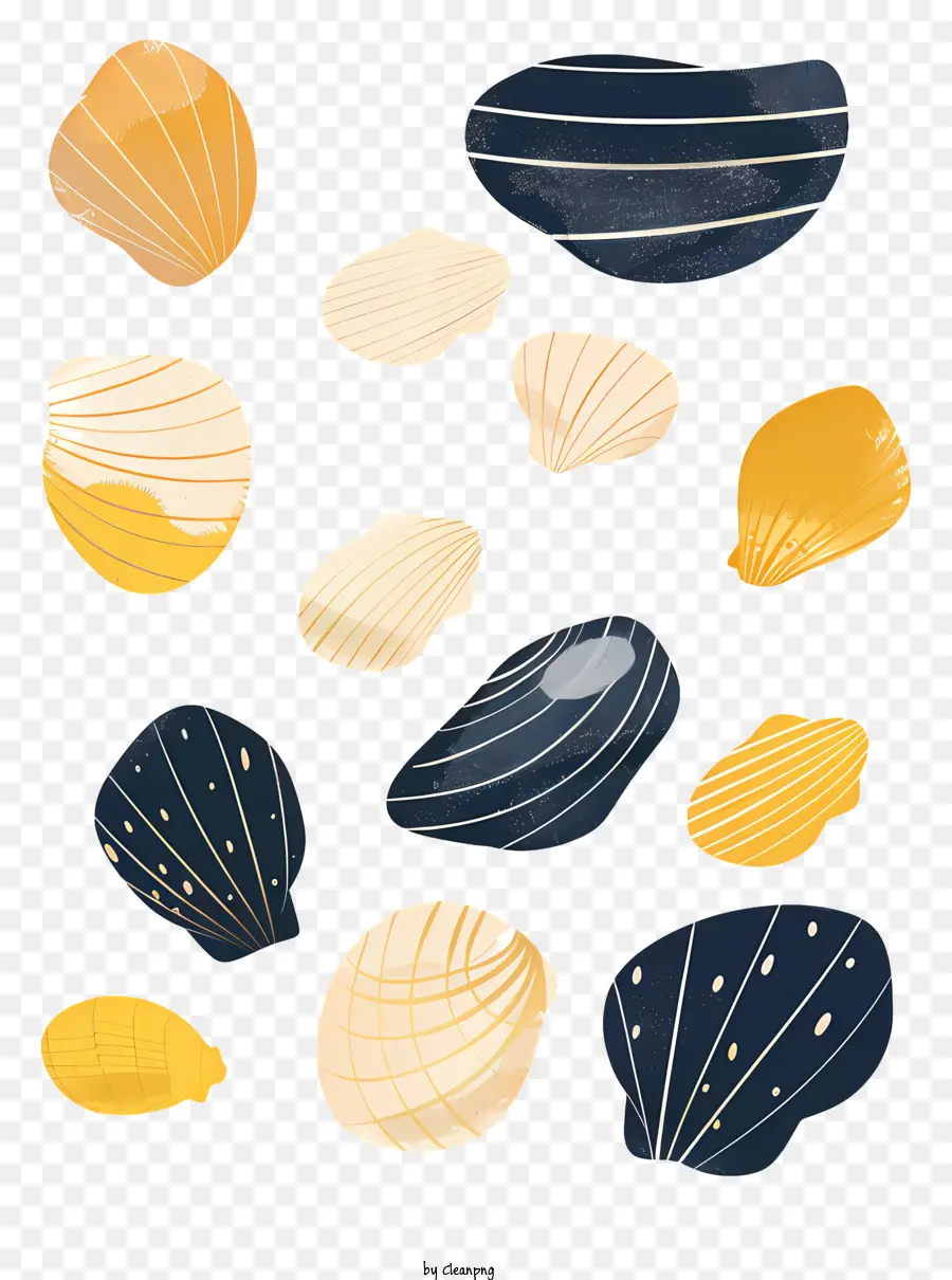 Coquillages，Coquilles Rayées PNG