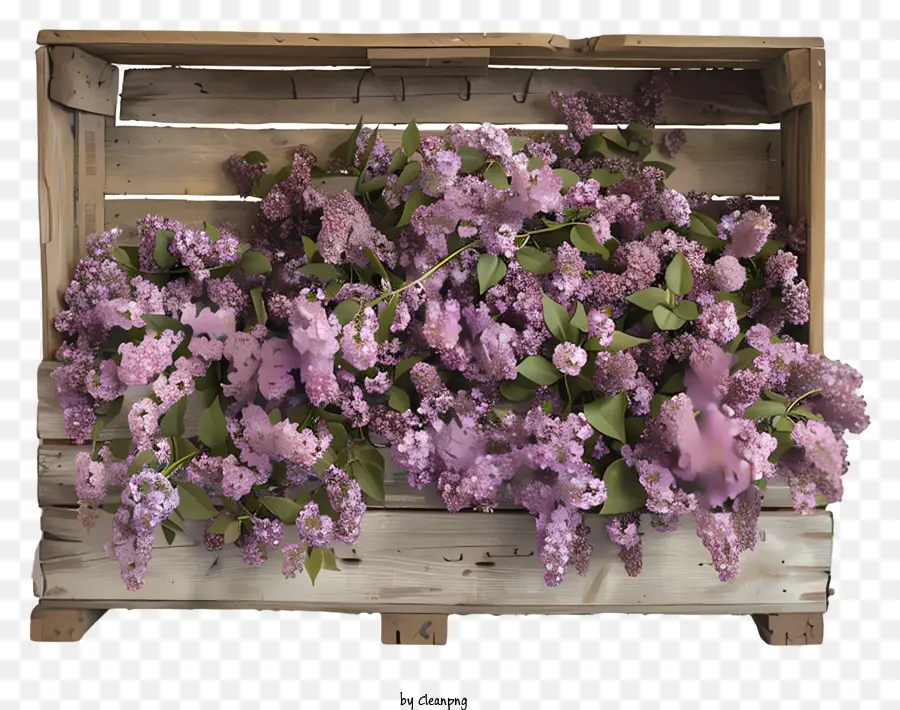 Fleurs Lilas，Caisse En Bois PNG