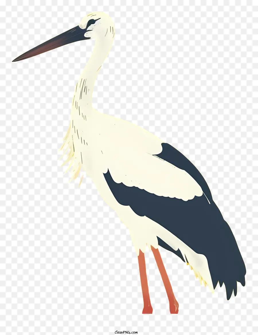 La Cigogne Blanche，Oiseau PNG