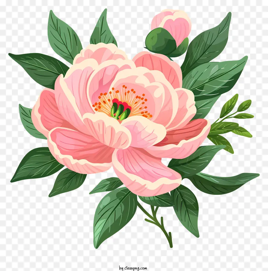 Arrangement Floral De Pivoine，Rose De Fleurs De Pivoine PNG