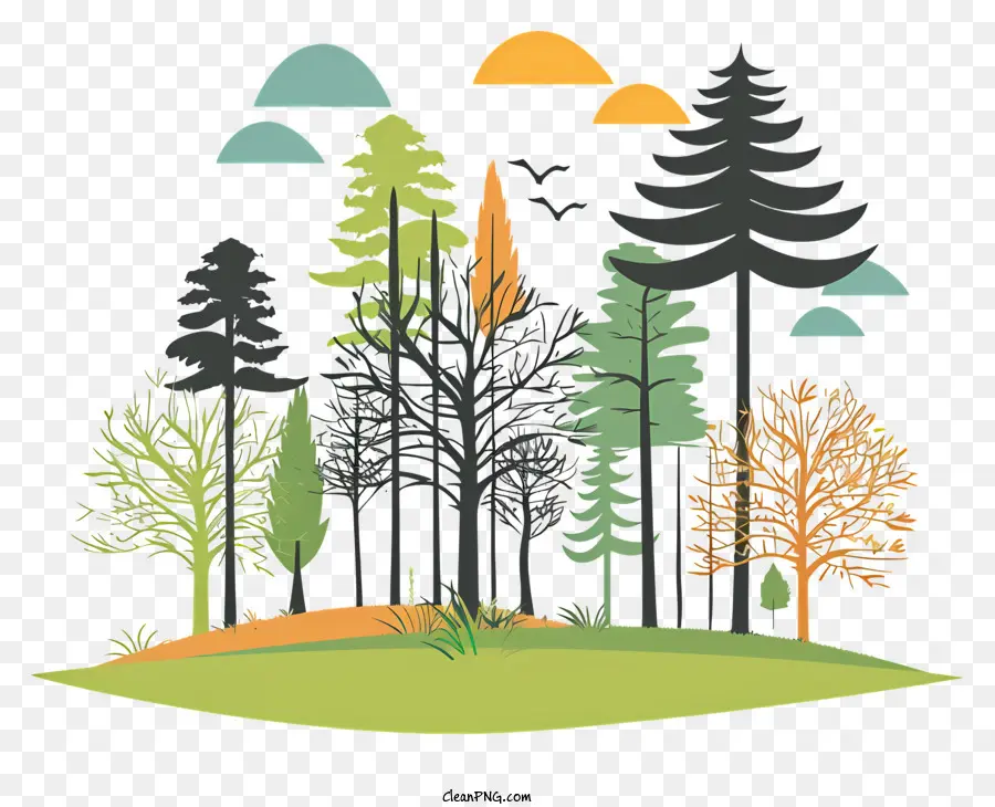 Journée Internationale Des Forêts，L'automne PNG