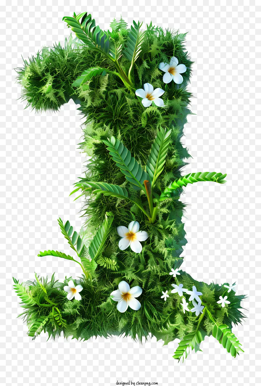 Numéro Un，Plantes Vertes PNG