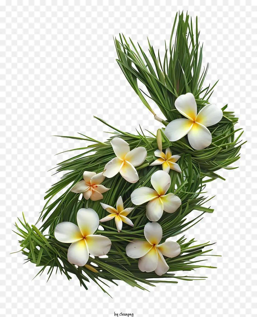 Lapin，Fleurs De Plumeuse PNG