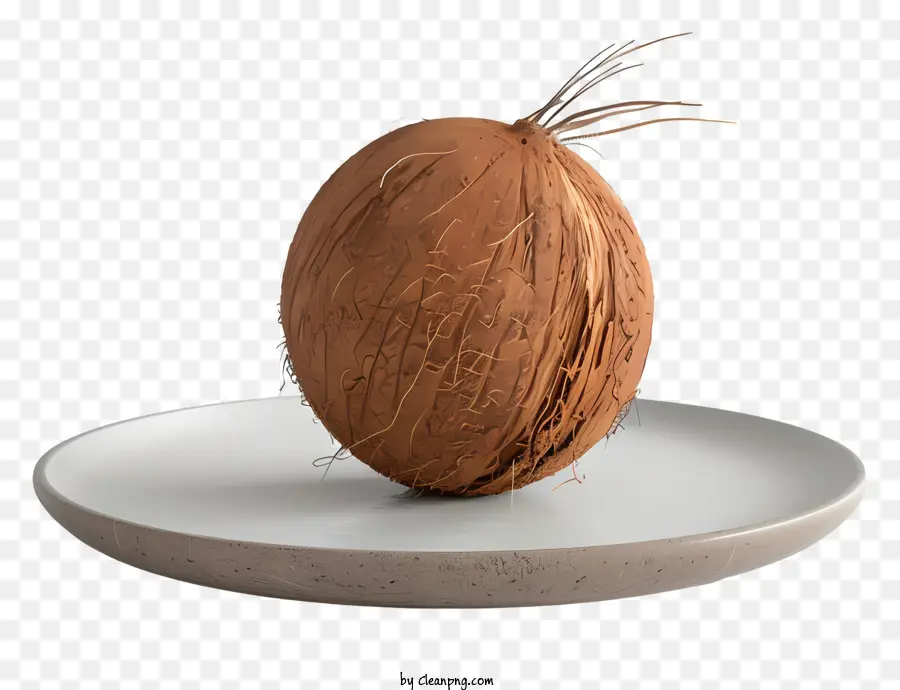 Noix De Coco，Entier PNG