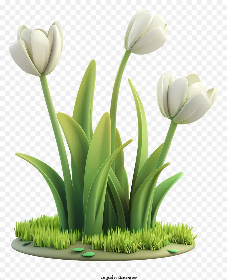 Le Printemps Commence，Blanc Tulipes PNG