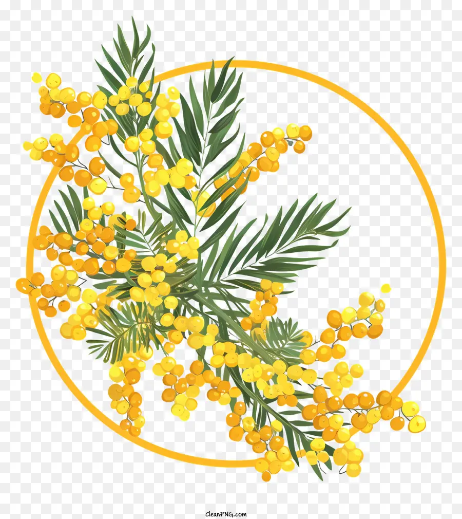 Couronne De Fleurs Mimosa，Eucalyptus PNG