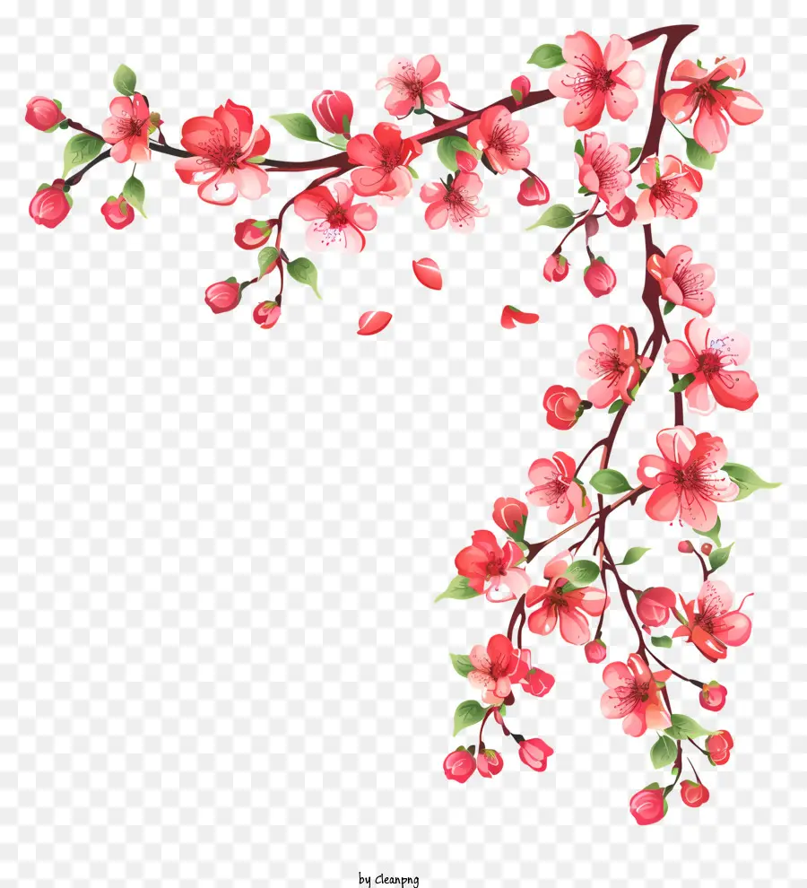 Le Printemps Commence，Fleurs De Cerisier PNG