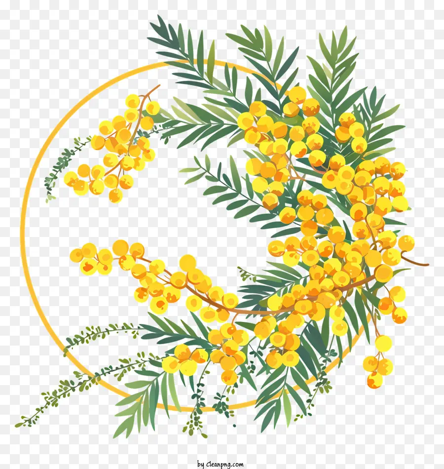 Couronne De Fleurs Mimosa，Eucalyptus Fleur PNG
