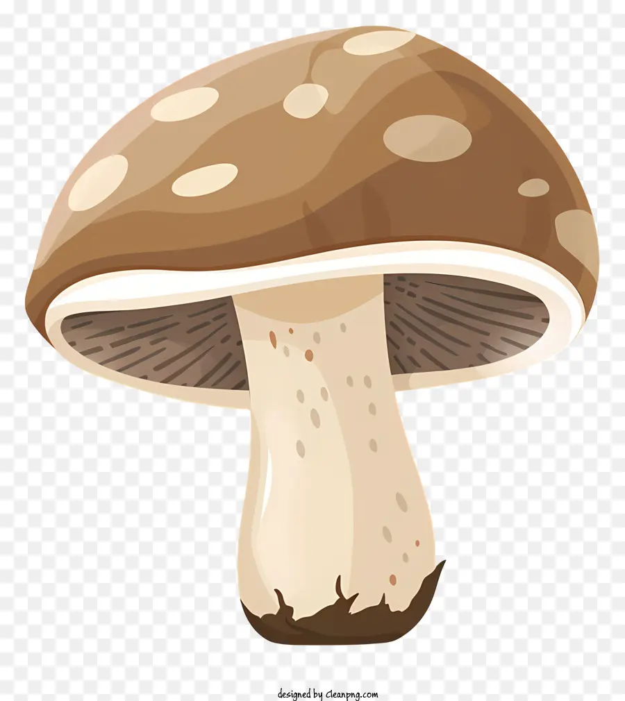 Champignon Commun，Champignons PNG