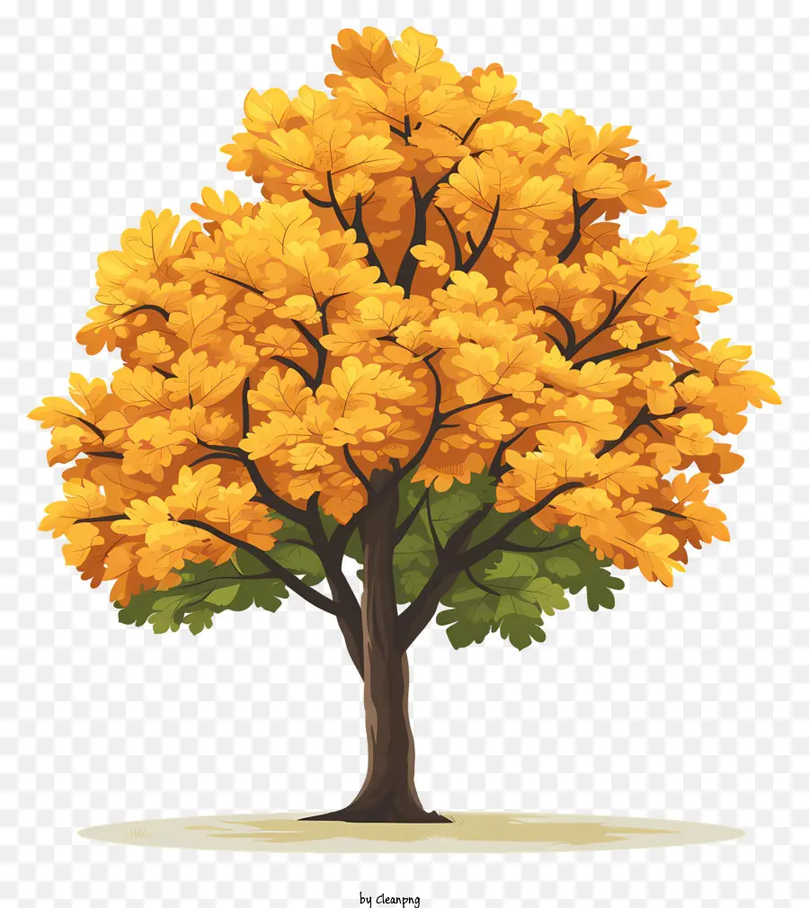 Jaune érable，L'automne PNG