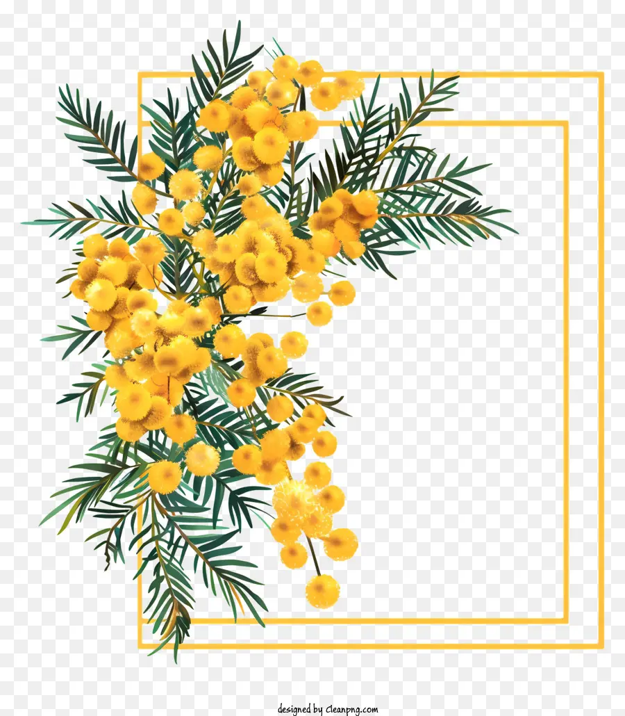 Eucalyptus，Fleurs Jaunes PNG