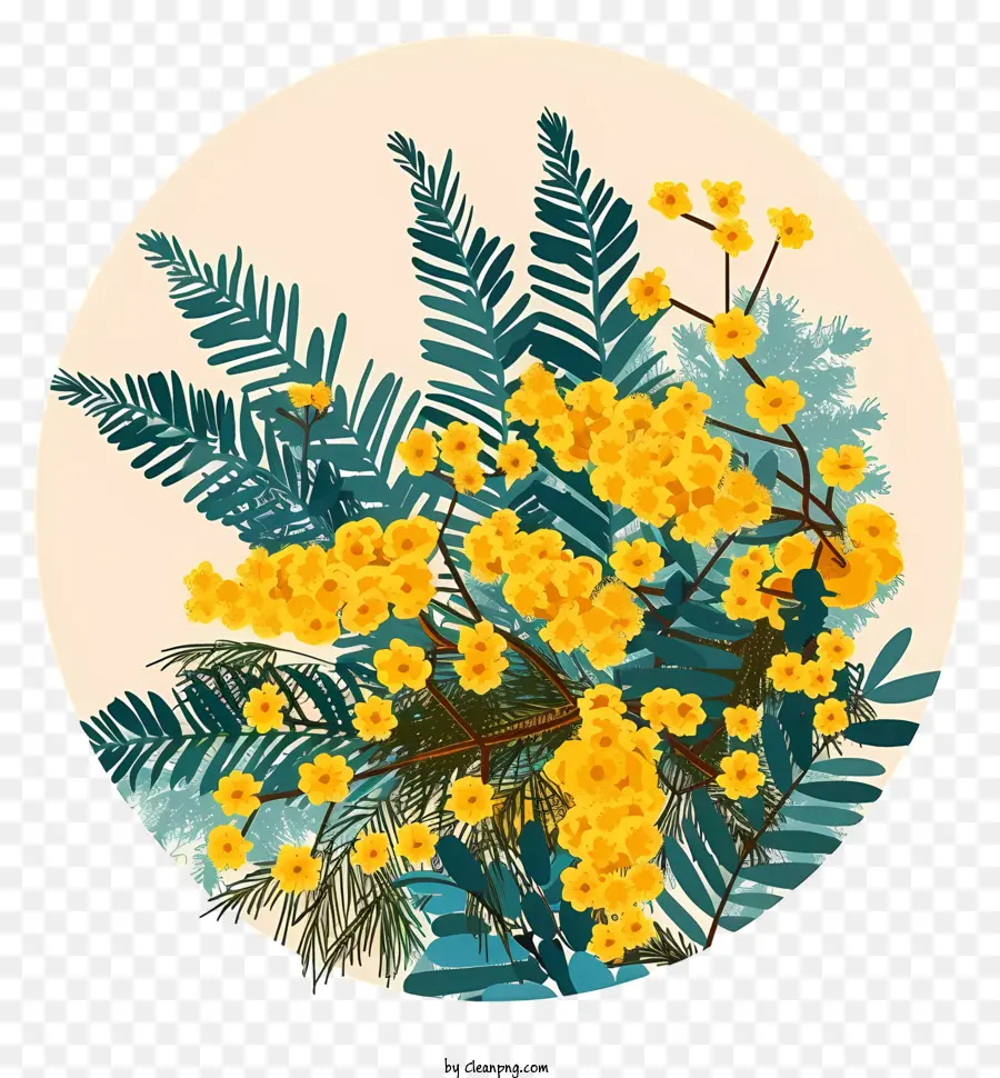 Des Fleurs De Mimosa，Fleurs Jaunes PNG