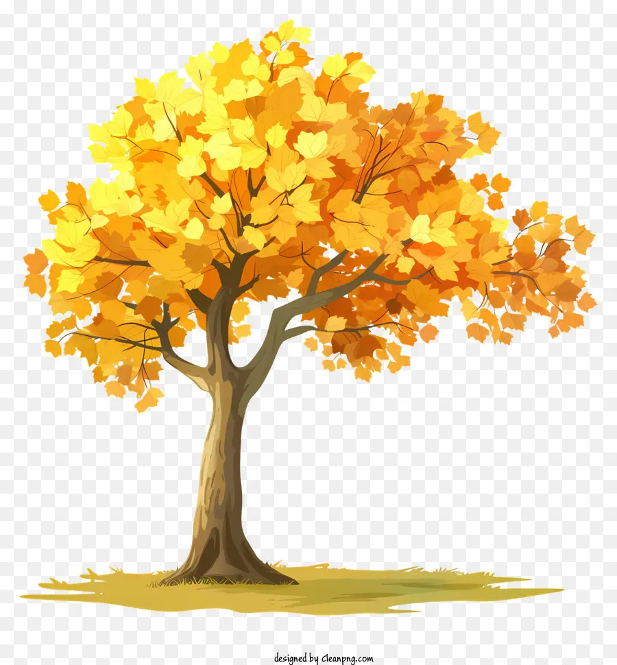 Érable Jaune，Arbre Doré PNG