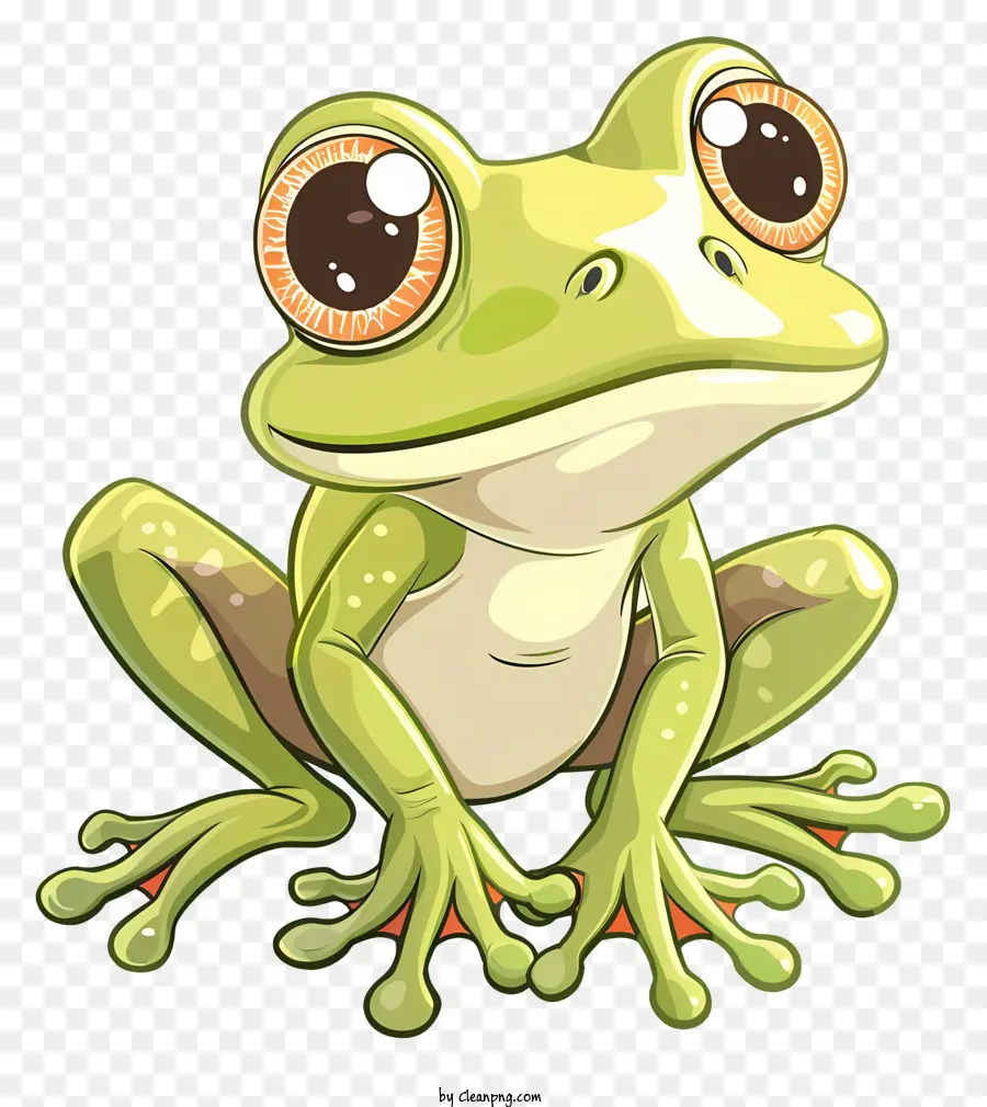 Grenouille De Dessin Animé，Grenouille PNG