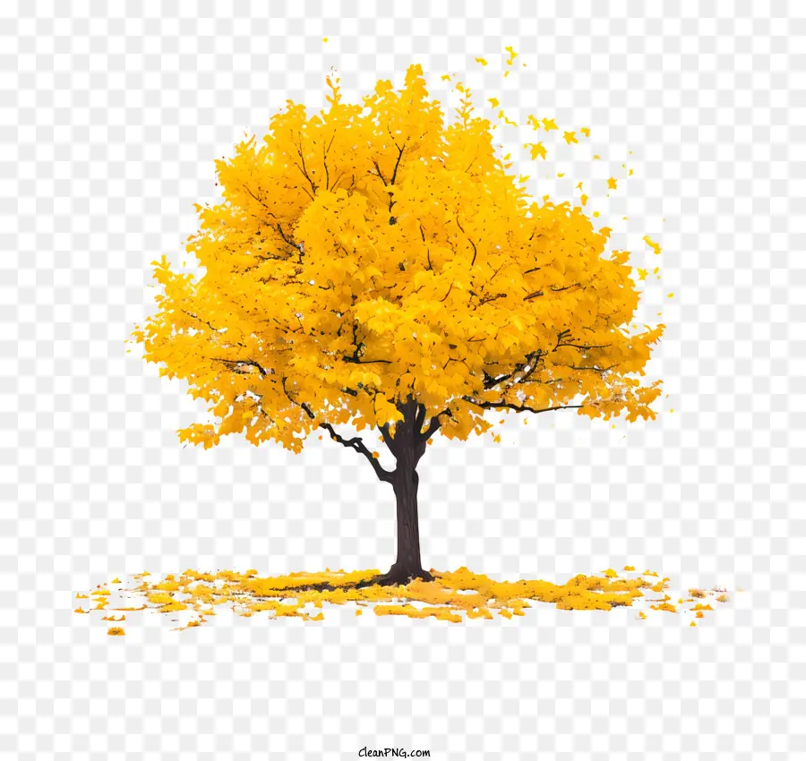 Érable Jaune，Arbre Jaune PNG