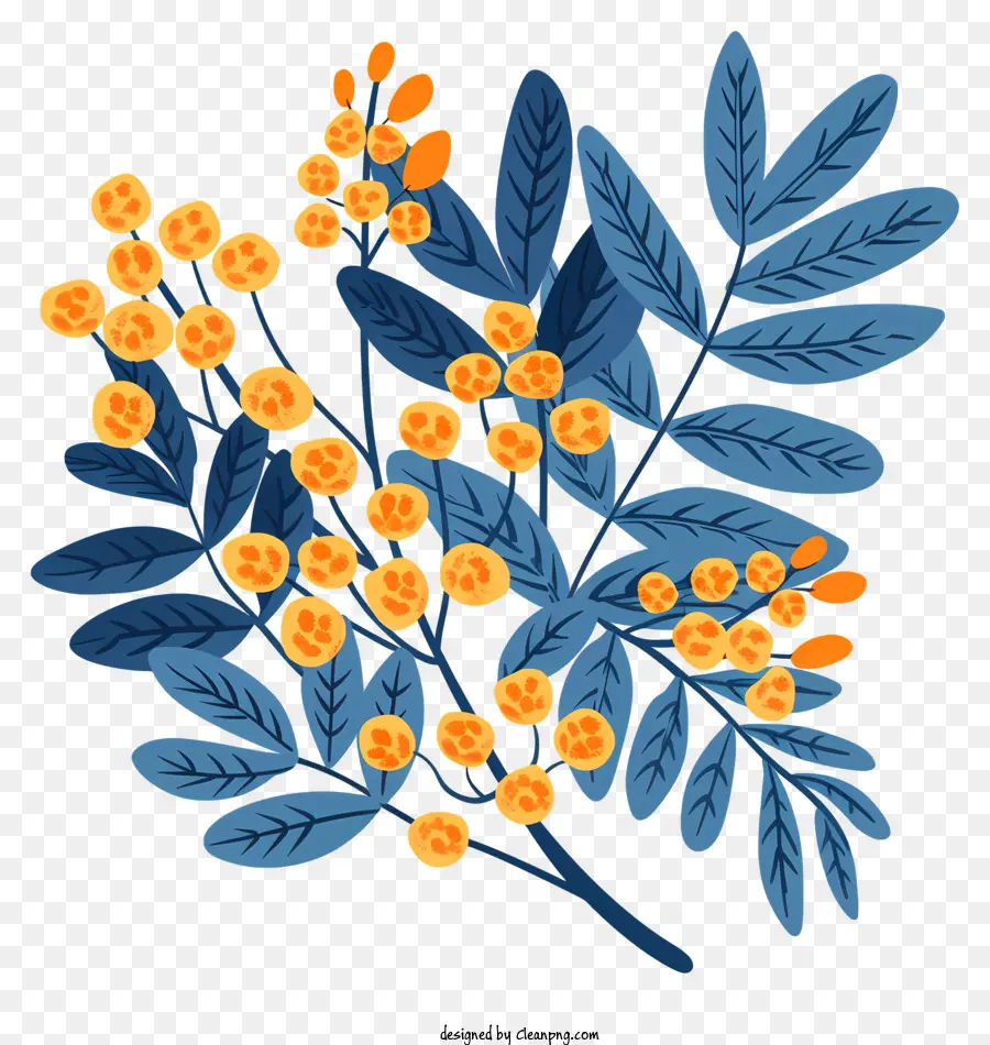 Des Fleurs De Mimosa，Blossoms Bleus Et Jaunes PNG