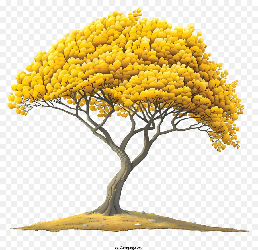 Arbre D'automne，Arbre Jaune PNG