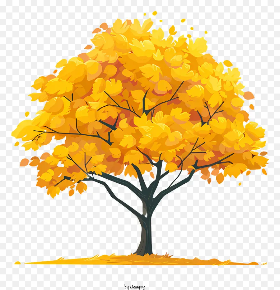 Automne Arbre，Arbre PNG